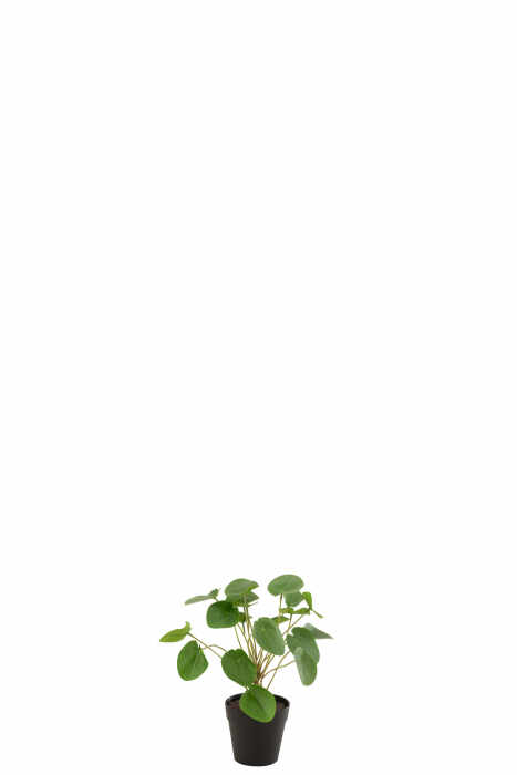 Planta, Material sintetic, Verde, 10.5x10.5x28.5