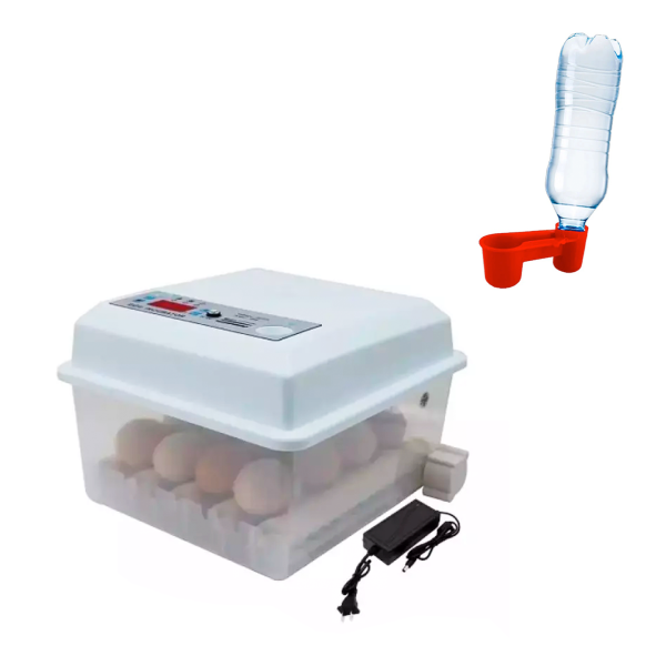 Pachet Incubator Oua Automat MS-16, 16 oua, Alimentare 12V/220V + Adapatoare pentru pui cu capac pentru sticla - set 10 bucati
